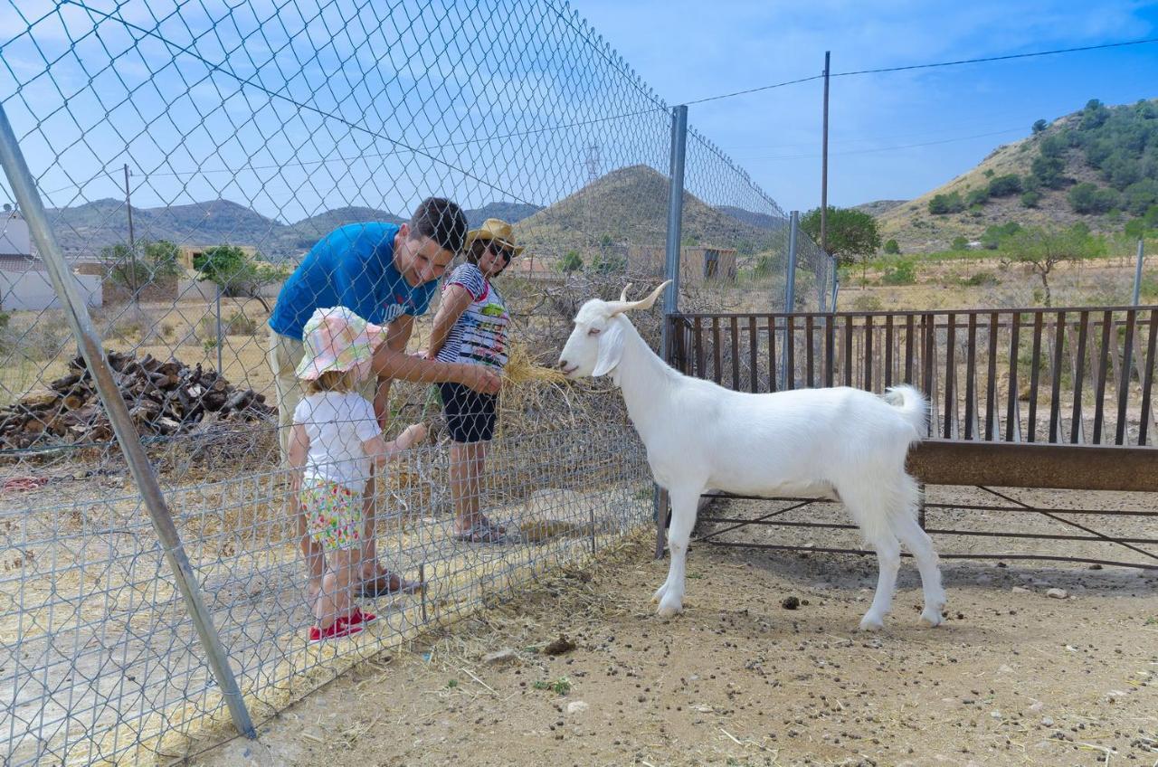 Fuente Alamo  Finca Liarteゲストハウス エクステリア 写真