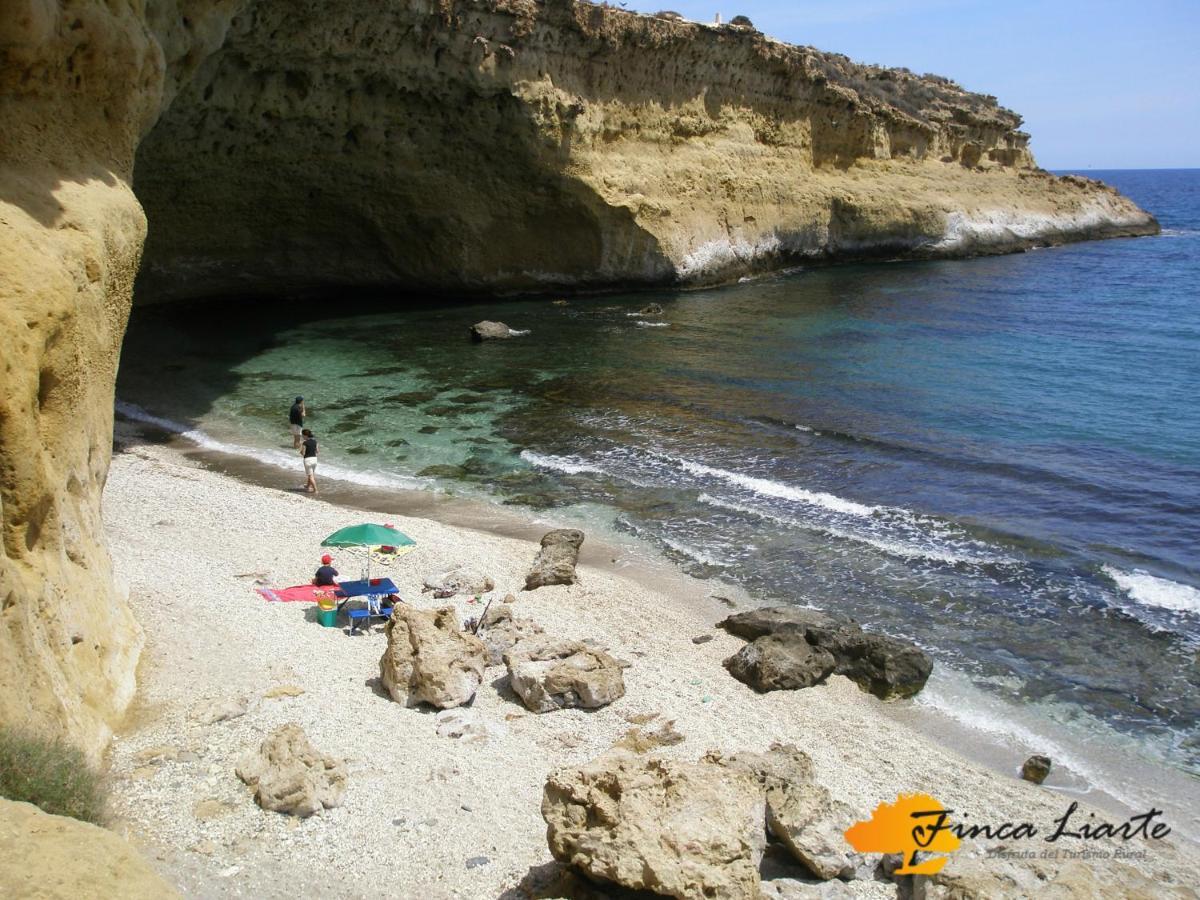 Fuente Alamo  Finca Liarteゲストハウス エクステリア 写真