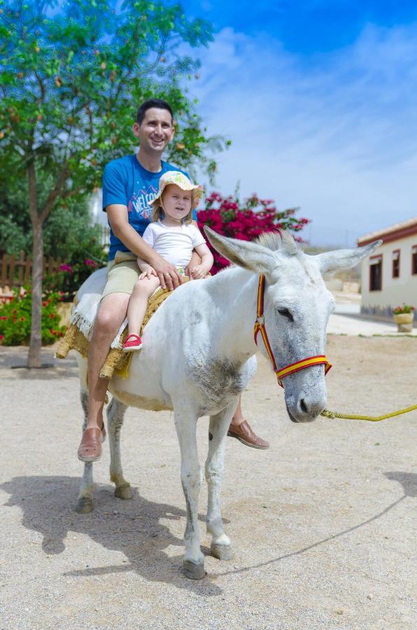 Fuente Alamo  Finca Liarteゲストハウス エクステリア 写真