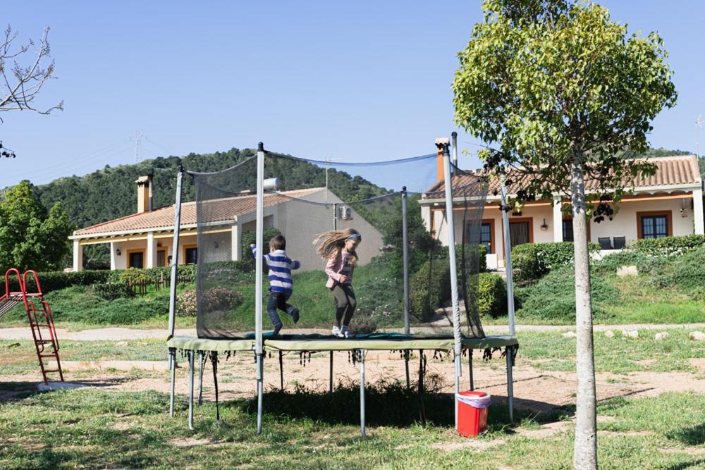 Fuente Alamo  Finca Liarteゲストハウス エクステリア 写真